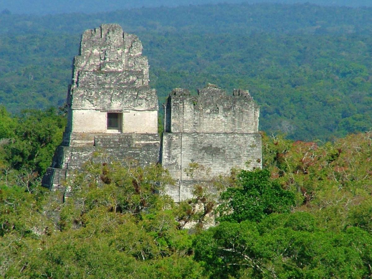 Villa Maya Flores Exteriér fotografie